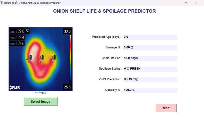 Onion Shelf Life